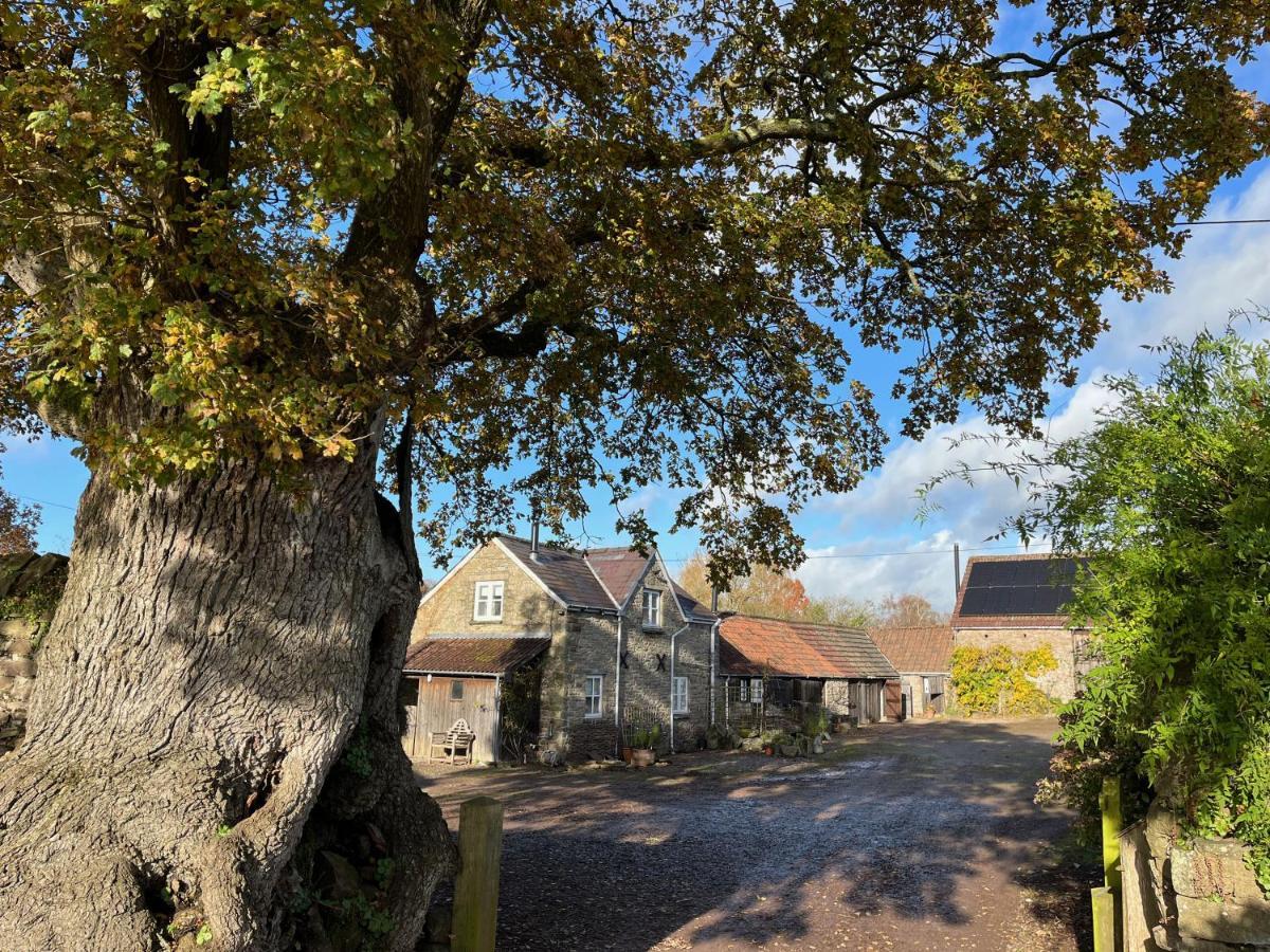 The Bothy At Oak Farm Apartment Usk Luaran gambar